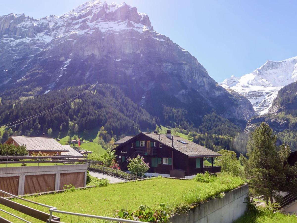 Apartment Chalet Almis-Boedeli-1 By Interhome Grindelwald Exterior photo
